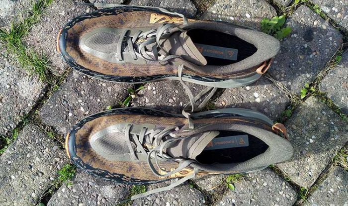 Hoka-Speedgoat-6-Review-Upper-Image